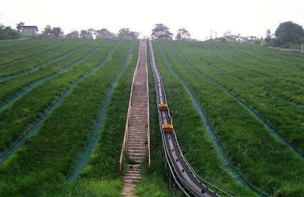 【淄博生态文化游】原山国家森林公园游玩线路,美景美食开启夏日狂欢!