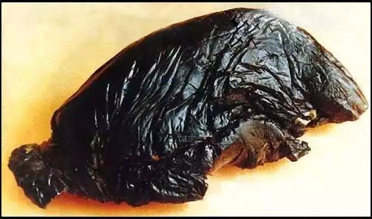 亮点死亡一道令人沉默的选题你会如何选