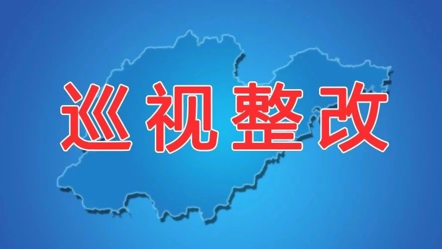 巡视整改情况报告公司 保险巡视整改报告