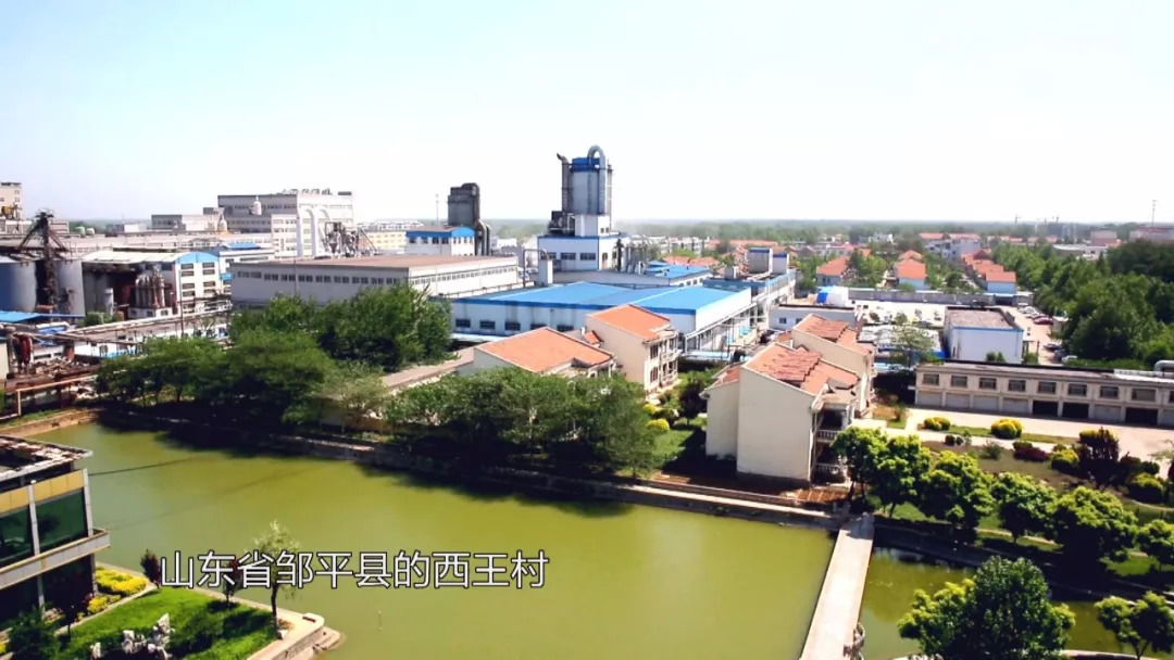 坚持创业32年!西王集团董事长王勇:我的想法就俩字,坚持!