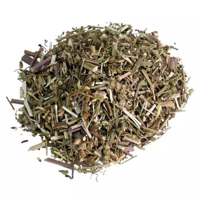 最美中草药荆芥遥知不是草为有暗香来