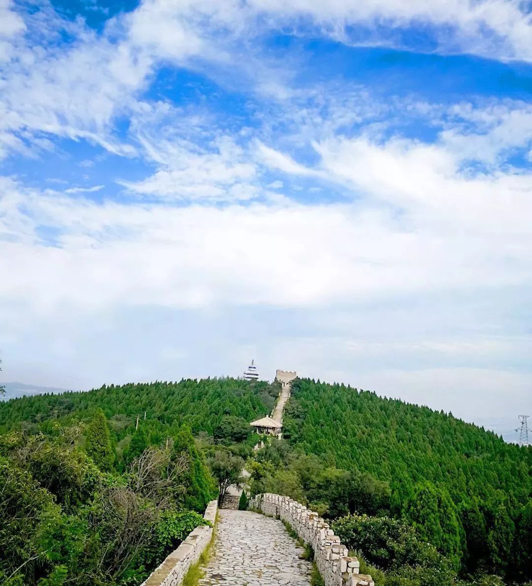 森林康养回归自然怀抱享受生态红利原山森林康养3日行程