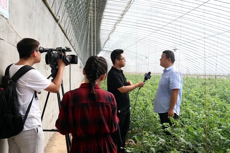 现场观摩育苗基地,郭站长接受采访第四篇章2018山东省新型职业农民"五