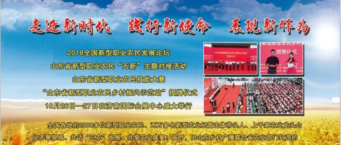 点赞!临朐这位农家妇女被评为2018年度"全国百名杰出新型职业农民"