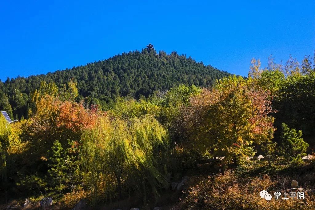 来平阴邂逅秋天的美景吧