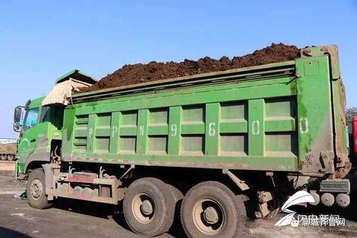 一案四罚临清一渣土车运输顶风违法被扣12分罚款2万余元