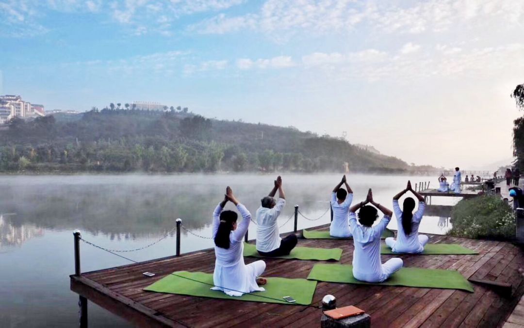 森林瑜伽森林乐章森林太极森林冥想养生茶艺森林电车游园赏景行程设计