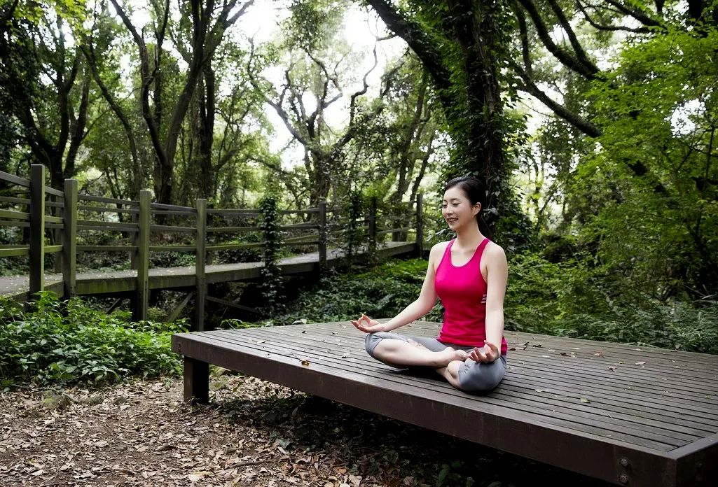 森林冥想养生茶艺森林电车游园赏景行程设计原山公园管理处,基地综合