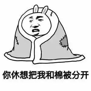 冷风呼呼的吹温度再创新低开车的你千万别雾里看路